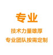 專業(yè)——技術(shù)力量雄厚專業(yè)團(tuán)隊按需定制